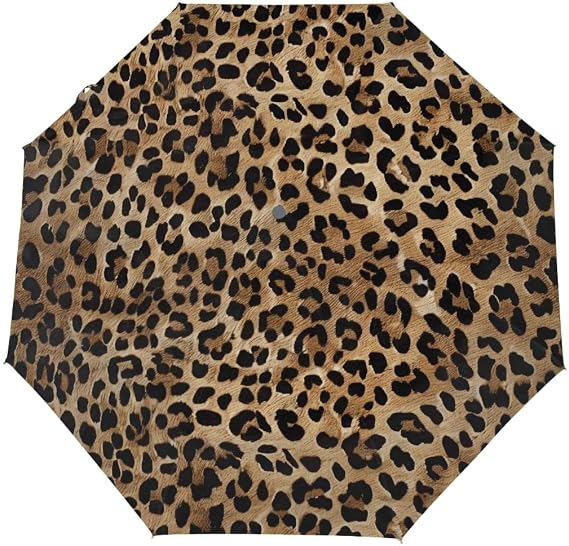 Windproof Travel Umbrella Compact Auto Open/Close Folding Umbrellas for Rain