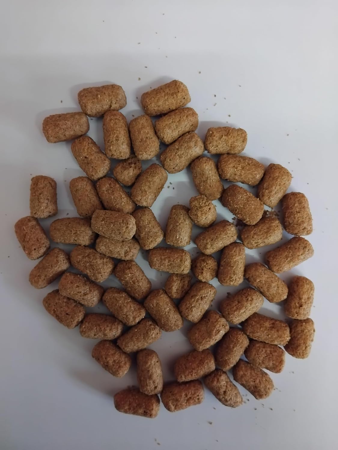 Premium Tortoise Food Pellets, Dry Diet Formula 500g