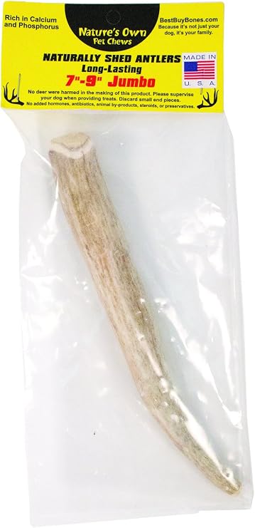 7-9 Jumbo Elk Antler