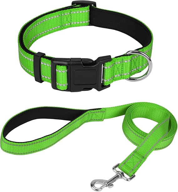 Reflective 6FT Dog Leash and 10"-15.5" Dog Collar Set, Soft Padded Basic Collar and Padded Handle Leash for Small Dogs, Green