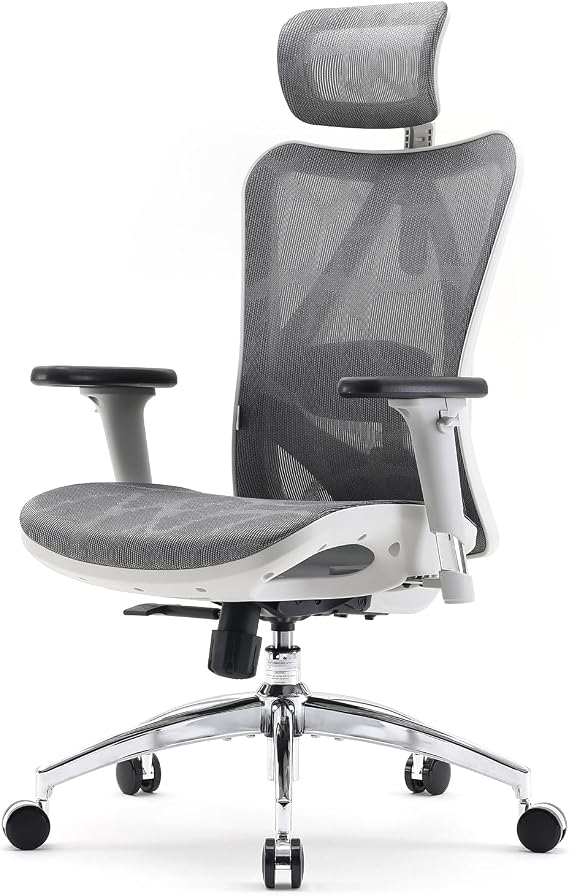 SIHOO M57 Ergonomic Mesh Office Chair, Lumbar Support, 150 kg, Light Grey