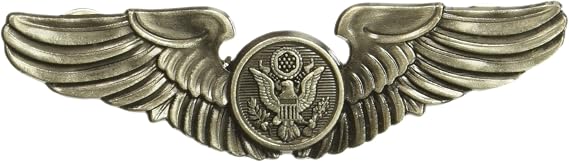EagleEmblems P16064 Wing-USAF, Aircrew, Basic (3'')