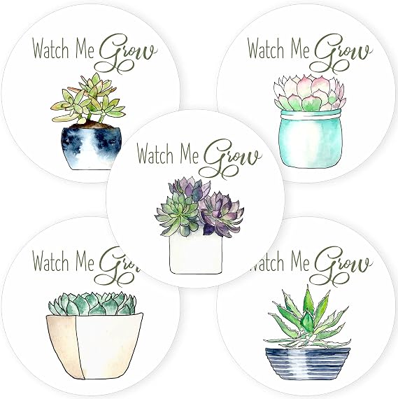 Watch Me Grow Potted Succulent Stickers, Baby Shower Favor Labels Set of 50 | Succulent Baby Shower, Botanical Theme, Greenery Decorations, Gift Bags, Favor Bags, Envelope Seals