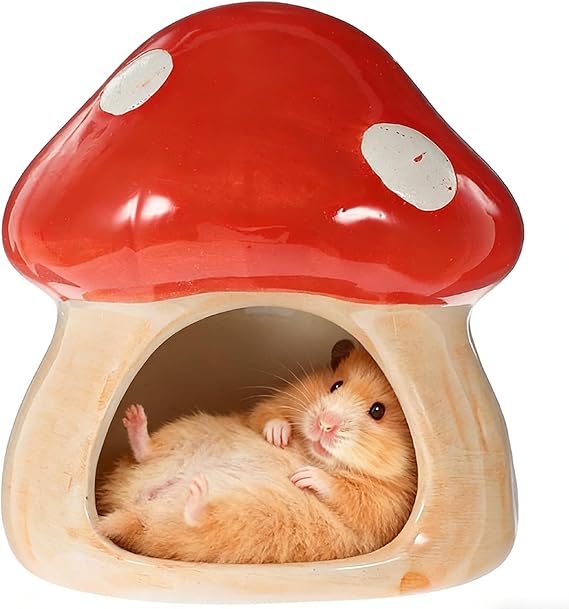 1 Piece Ceramic House for Hamsters, Unique Hamster House Ceramic