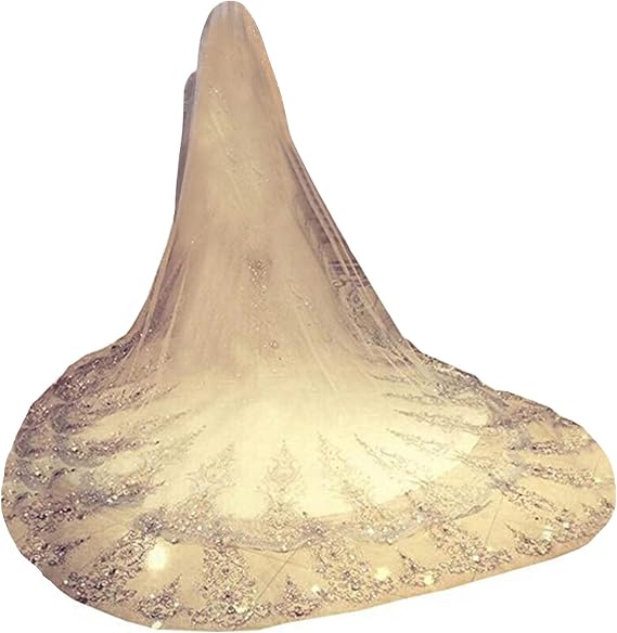 Newdeve 3M 1T Ivory White Wedding Veils with Crystal Free Comb