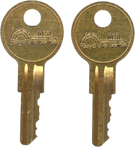 W636 Replacement Key for ESP, Global, Evolve Furniture Locks - Cut on Y11 Blank by KEYSALACARTE