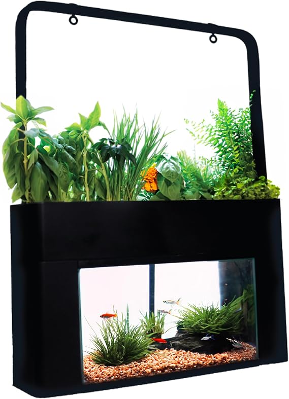 AquaSprouts Aquaponics Garden, Self-Sustaining Desktop Aquarium Hydroponics Ecosystem Kit, fits Standard 10 Gallon Aquariums