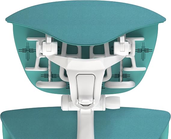 OFFICE LOGIX SHOP Embody Headrest Compatible with Herman Miller Embody Chair (Galaxy Fabric/White Frame)