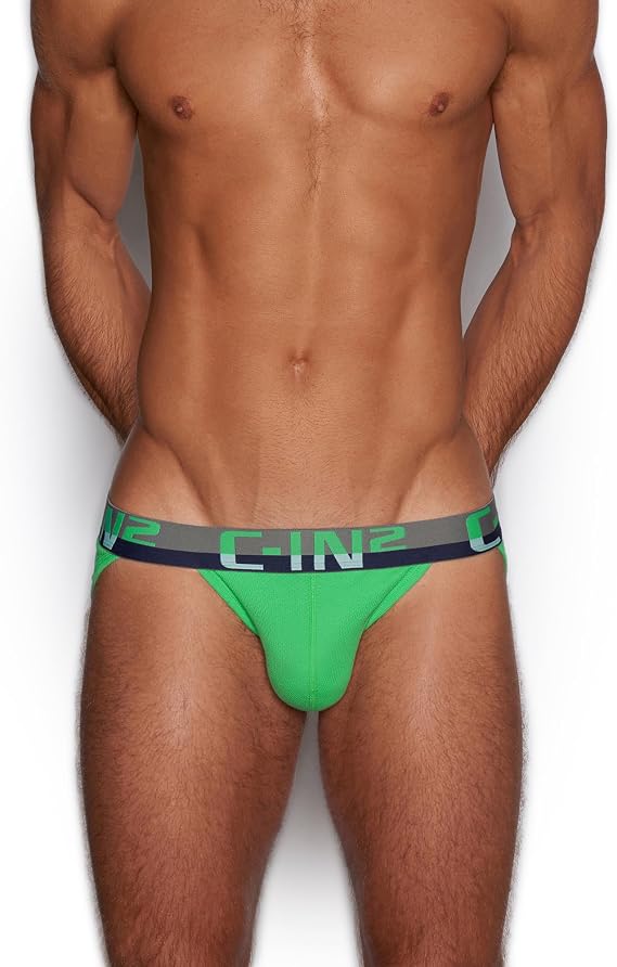 C-IN2 C-Theory Dash Brief