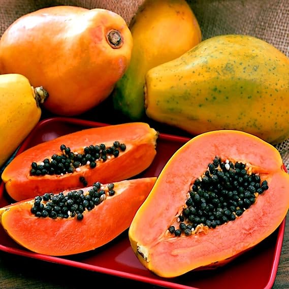 20 Seeds Hawaiian Solo Sunrise Papaya Tree | Carica Papaya Seeds Fruit Plant