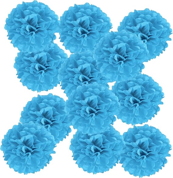 PATIKIL Pack of 12 Tissue Paper Pompoms Decoration Blue Pompoms Decoration for Birthday Decoration Party Decoration Wedding Decoration Garden Party Baby Shower 250 x 250 mm