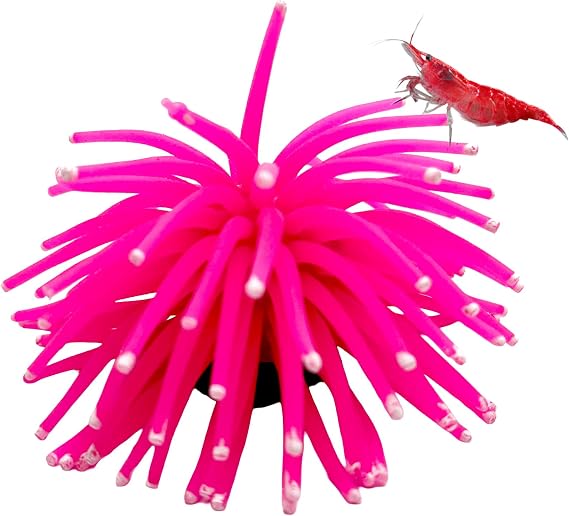 CTWPets Fluorescent Aquarium Decor – Glowing Fish Tank Ornament for Freshwater & Saltwater | Safe for Betta, Shrimp, Tropical Fish | Includes Collector Card (Pink, Small)