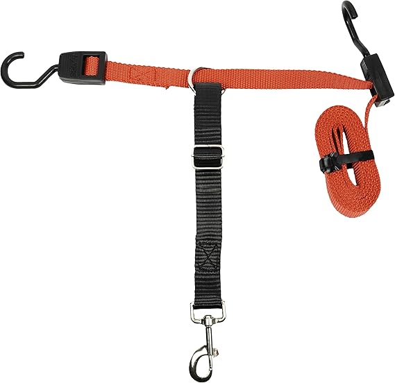 PetSafe Happy Ride Dog Zipline Car Leash