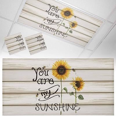 2 Pack Fluorescent Light Cover for Classroom Ceiling, You are My Sunshine Sunflower Magnetic Light Cover Filters, Bees Wood Grain Lights Covers for Office School Home Drop Lamp Ceiling Decor 4x2 ft