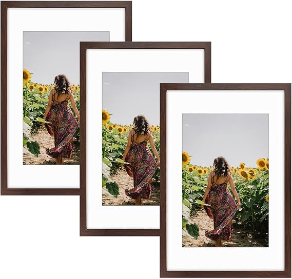 Frametory 3 Pack 16x24 Brown Picture Frame with Real Glass Mat for 12x18 | High Definition Glass, Wide Molding - Preinstalled Wall Mounting Hardware, Perfect for Home Decorate