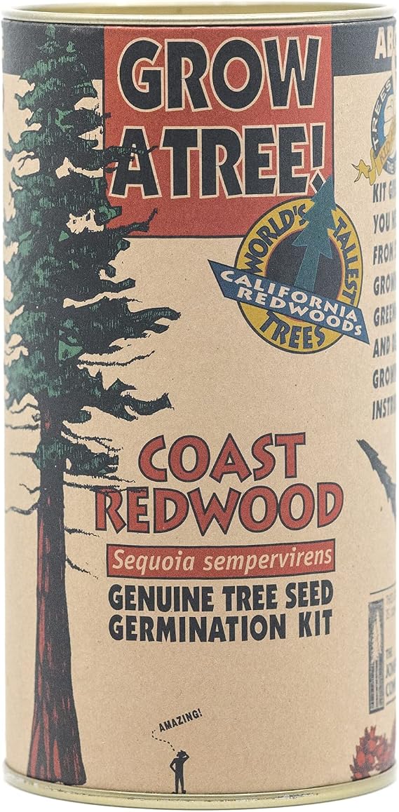 Coast Redwood | Tree Seed Grow Kit | The Jonsteen Company