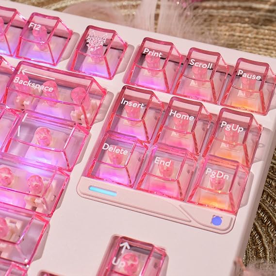 mintcaps Crystal Clear Keyboard Keycaps Transparent PC Cherry Profile Pink Keycap Set 114 Keys Shine Through Key Cap for Cherry Gateron Mx Switches Mechanical Keyboard