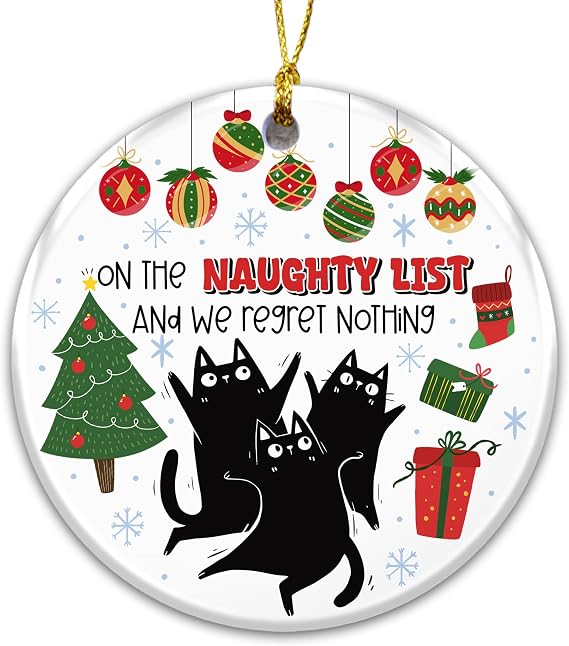 Funny Black Cat Christmas Ornament 2025 On the Naughty List and We Regret Nothing Ceramic Holiday Ornament Cute Cat Lover Gift, Naughty Pet Christmas Tree Decoration, Stocking Stuffer