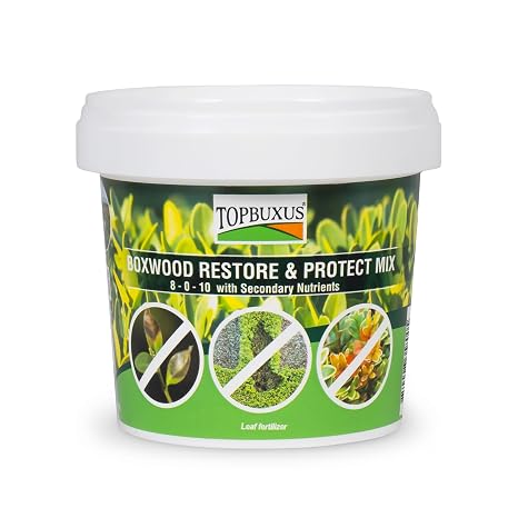 TOPBUXUS Boxwood Restore & Protect Mix (aka Health Mix) - Against Boxwood Blight