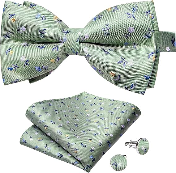 DiBanGu Silk Bow Tie Pre-Tied Bowtie Set for Men In Gift Box