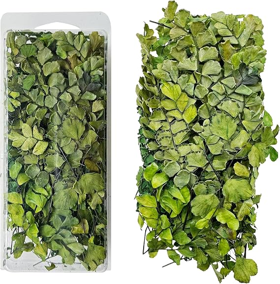 Woohome Model Scenery Leaf, 1 Box Realistic Miniature Leaves Simulation Leaves with Tweezers for Train Landscape Railway Artificial Grass Modeling