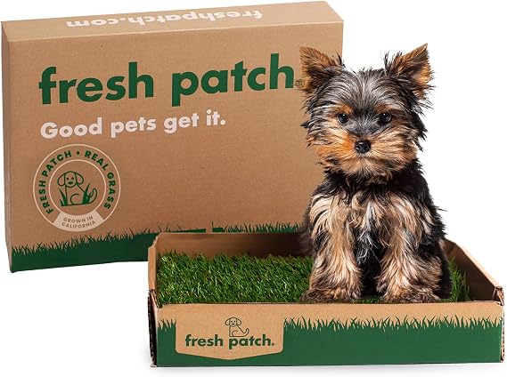 Fresh Patch Mini Real Grass Patch for Dogs, Cats, and Small Pets Under 8 Pounds Disposable Pet Grass Pee Pads Indoor and Outdoor Potty Training Mat (12 Inches x 16 Inches)