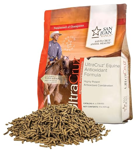 UltraCruz Equine Antioxidant Formula, 4 lb