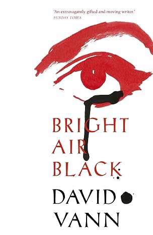 Bright Air Black: Vann David