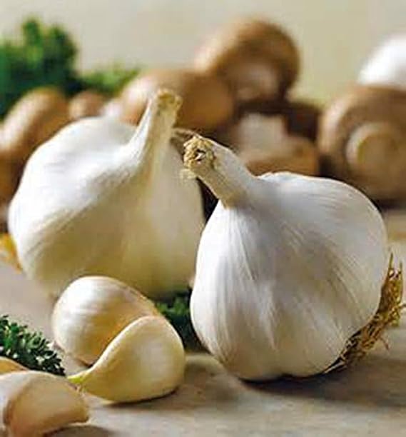 Snow Hill Himalayan Organic Garlic Bulbs 10 High Altitude Nepal Grown, Non-GMO, Natural and Chemical-Free Fresh Garlic for Cooking and Health - Product of Mt. Everest, Nepal