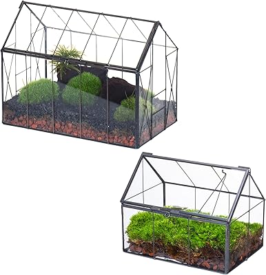 NCYP Geometric Glass Terrarium with Lid, and Small House-Shaped Terrarium with Lid, for Succulent, Small Cactus