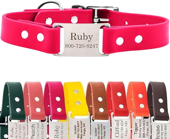 dogIDs Personalized Dog Collar ScruffTag Custom Waterproof Biothane Dog Collar with Laser-Engraved Name, Durable & Odor-Resistant USA Made | Magenta, 1 in x 16 in (Fits Neck Sizes 14-18 in)