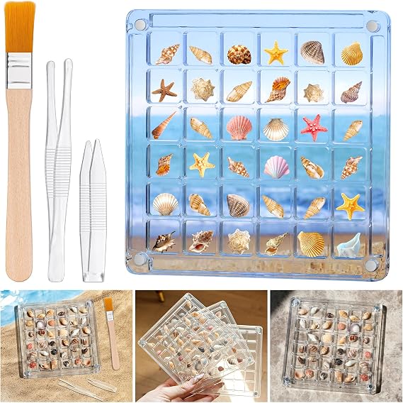 Seashell Display Box 36 Grid Clear Acrylic Shell Holder & Organizer Case with Magnetic Lid for Sea Shell Collection, Crystals & Mini Collectibles