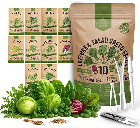 10 Lettuce & Salad Greens Seeds Variety Pack 13000+ Non-GMO Heirloom Lettuce Seeds for Planting Indoors & Outdoors Garden, Hydroponics - Arugula, Radicchio, Kale, Spinach, Swiss Chard