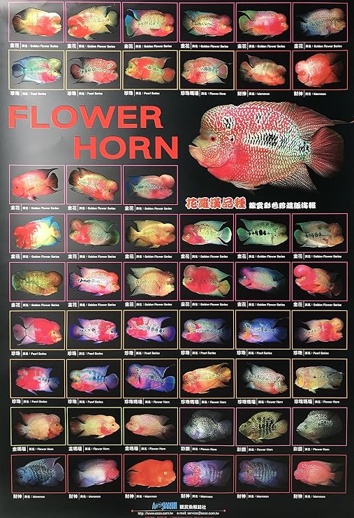 AZOO AZ90142 Flower Horn Decor Poster